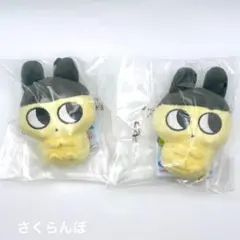 2026年最新】まめっちぬいぐるみの人気アイテム - メルカリ
