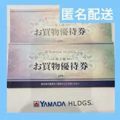 ヤマダ電機 優待　10000円分