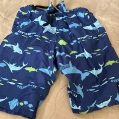 Item thumbnail for item 062997ee-9182-431e-804a-b53a79970acc