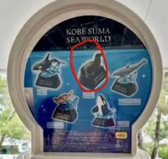 名古屋港水族館 ガチャ 缶バッジ シャチ アース - メルカリ