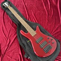 メンテ済 Spector Performer 5 5弦ベース スペクター SPECTOR NS Ethos HP 5 Plum Crazy Gloss 5弦ベース スペクター