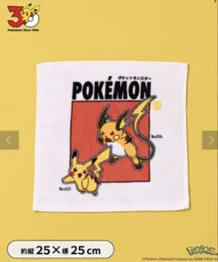 ポケモン 30周年記念 ハンドタオル　スリーコインズ スリコ 3coins