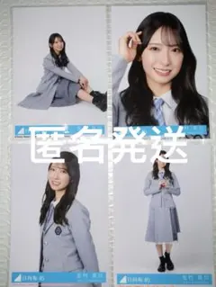 日向坂46 クリフハンガー 生写真 コンプ 4枚 金村美玖