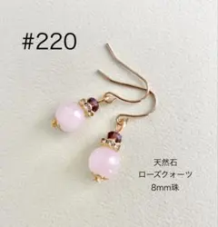 ピアス　220