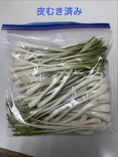 直売所コスパ最強〉沖縄県産 島らっきょう B品 約750g【ネコポス】①