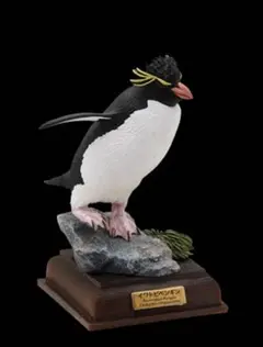 NATURE TECHNI COLOUR 南極 イワトビペンギン