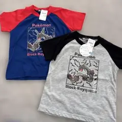 Item thumbnail for item bd399f59-6612-4744-9032-9c2176f9bf99