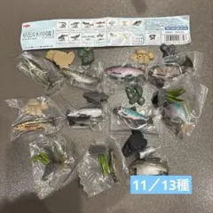 YUJIN 原色淡水魚図鑑I フィギュア まとめ売り