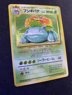 【パレ様専用】フシギバナ　旧裏　極強全面ホロ　渦巻き　十字　モンボ　完備　至高品