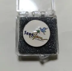 Item thumbnail for item 5d790427-da40-49c7-ad86-a856c8919f2a