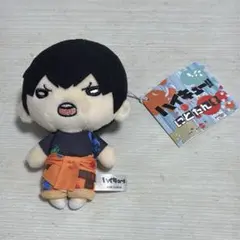 ハイキュー　にとたん　思い出　日向影山　未開封 2025年最新】にとたん ハイキュー ぬいぐるみ 影山の人気