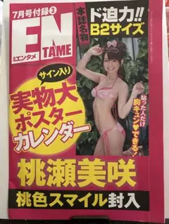 溝端葵&高野真央FRIDAY 直筆サイン入りチェキ 応募券 5枚 抽プレ懸賞