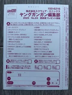 フラミニ様 リクエスト 2点 まとめ商品