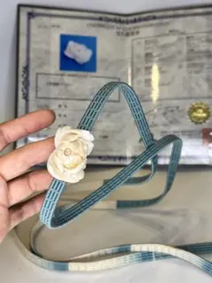 Item thumbnail for item b0cfabcf-cd33-463a-8ad7-9599c4ab05ff