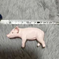 Item thumbnail for item ad6110f0-34a5-4ca8-9112-fa987bd759c4