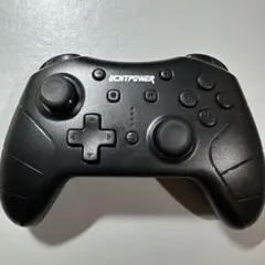 Switch コントローラー pro 社外品 ECHTPower