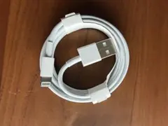 Apple Lightning USBケーブル【新品未使用】