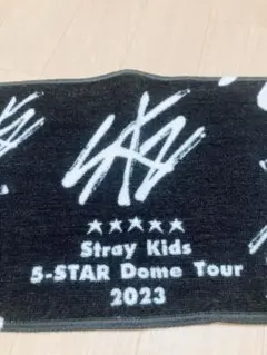 Stray Kids 5-star ドームツアー　ライブタオル　福岡　スキズ