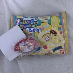 y*e様 サンリオパッケージチャーム
