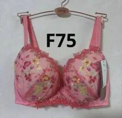 ワコール レシアージュ F75 PB2920 カラー…ORのサムネイル