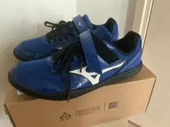 Item thumbnail for item fe1d3a49-0826-4bb5-96db-83e8062cb315