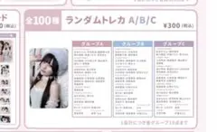 A.Sさま専用 あいす トレカ