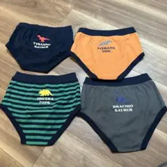 GITA 恐竜デザイン ボクサーパンツセット 4枚組