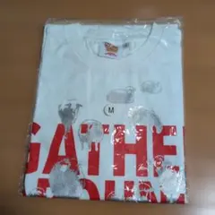 佐野愛花 あそばにゃそんそん限定Tシャツ Lサイズ - メルカリ