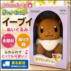 新品未開封】おうちにポケモン イーブイ ポケモン30周年記念 - メルカリ