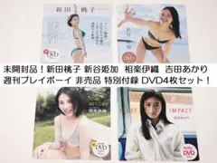未開封品！新田桃子相楽伊織 他 週刊プレイボーイ 非売品 特別付録 DVD 4枚