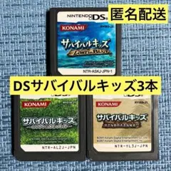 eater様 DS サバイバルキッズ 3本セット ソフトのみ