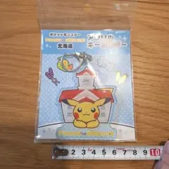 ANAポケモンジェット そらをとぶピカチュウ キーホルダー - メルカリ