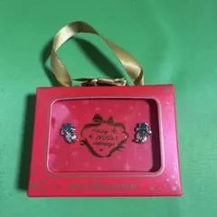 ミッキー ピアス