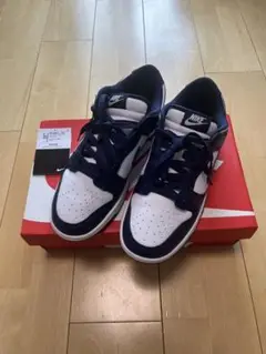 NIKE ダンクローレトロ（ネイビー色）