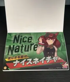 ナイスネイチャ 非売品ポスター 2026年最新】ナイスネイチャの人気アイテム - メルカリ