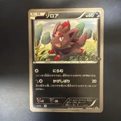 ポケモンカード ゾロア ダークラッシュ プロモ 116/BW-P PSA10 ポケモンカード ゾロア ダークラッシュ プロモ 116/BW-P PSA10