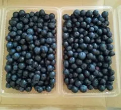 ブルーベリー600g+α　自然栽培　大分県産のサムネイル