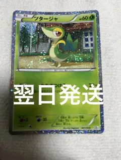 ポケモンカード ツタージャ 001/009