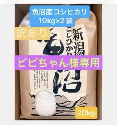 令和7年度 新潟県 岩船産 こしいぶき20kg - メルカリ