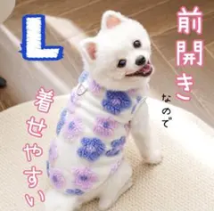 Item thumbnail for item abaf092f-d447-4b90-80fb-0c353efaf7c8