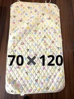 Item thumbnail for item 380519a1-3897-4a17-8f8a-25534689ade0