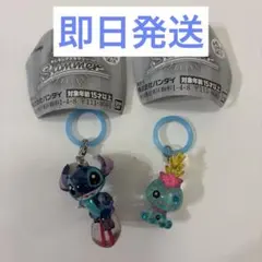 ディズニー めじるしアクセサリー Summer サマー スティッチ スクランプ