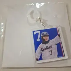 Item thumbnail for item 86372b33-c39a-44d4-8ae2-ccfad2df4943