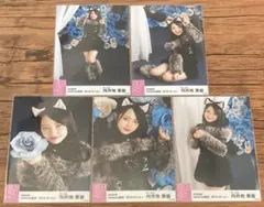 向井地美音 netshop限定 2019.10 コンプ AKB48①