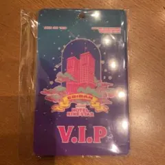 EBIDAN THE LIVE 2025 VIPパス　VIPPASS アプグレ