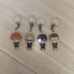 ハイキュー!! めじるしアクセサリー 烏野