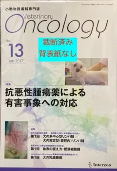 Veterinary Oncology　No.13　裁断済み　背表紙なし