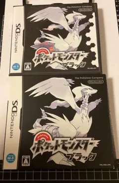 DSポケットモンスターブラック　任天堂DSソフト　ポケモン