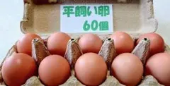 源さんの平飼い卵. M～2L60個10個入り6パック　朝採れ新鮮　常温発送のサムネイル