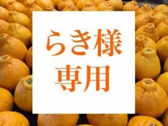 らき様専用　和歌山県産　小振りなデコポンとちょこっとせとか　約5kg